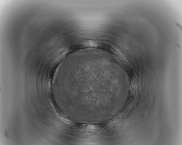 X0000095880330200801251146