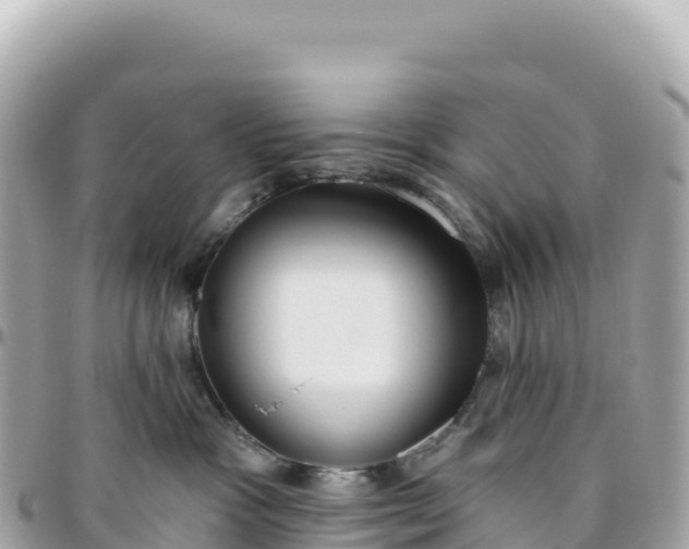 X0000095880333200801251146