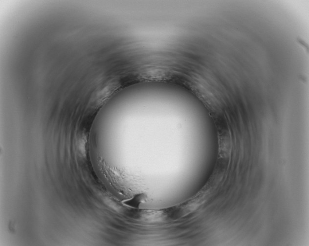 X0000095880334200801251146