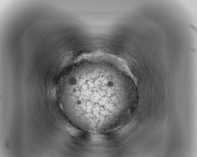 X0000095880336200801251146