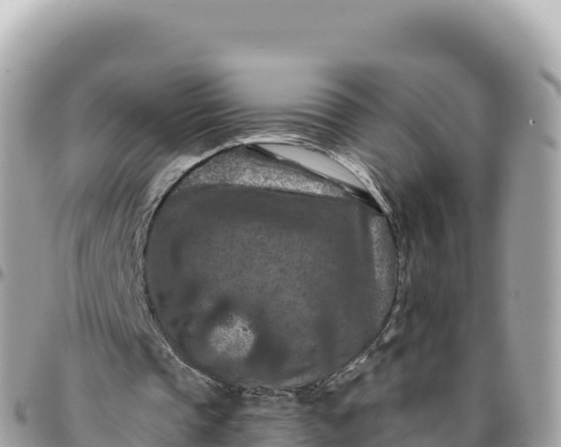 X0000095880337200801251145