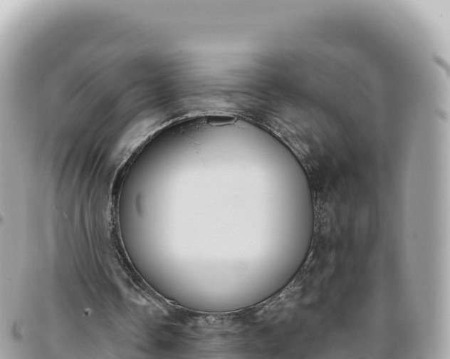 X0000095880338200801251145