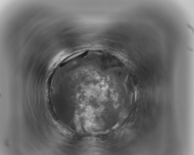 X0000095880339200801251145