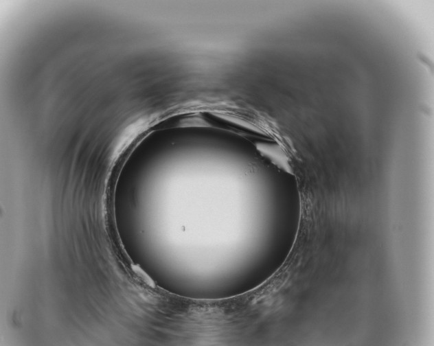 X0000095880340200801251145