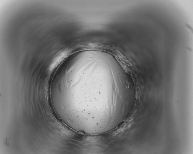 X0000095880341200801251145