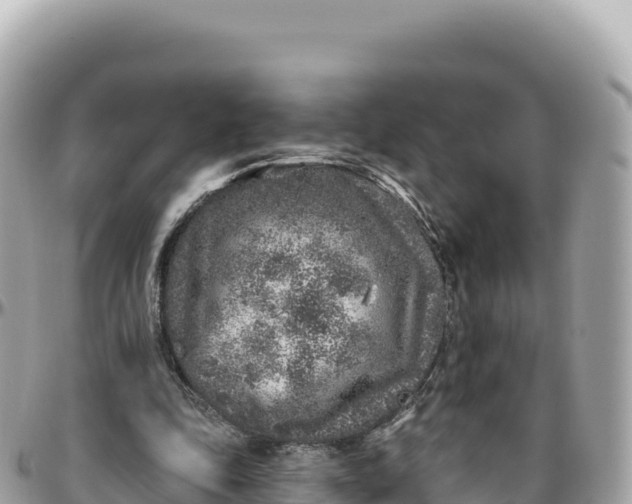 X0000095880343200801251145