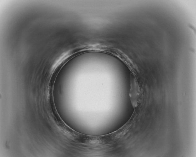 X0000095880344200801251145