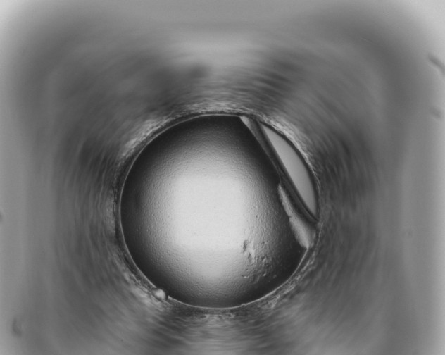 X0000095880345200801251145