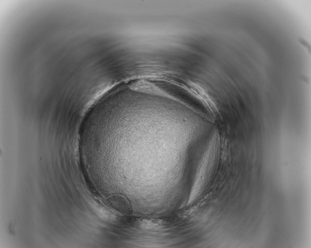 X0000095880346200801251145