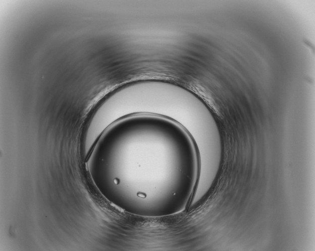 X0000095880348200801251145