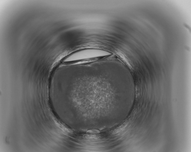 X0000095880349200801251145