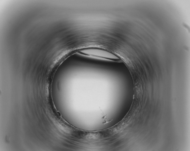 X0000095880350200801251145