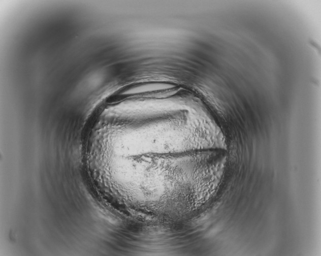 X0000095880351200801251145