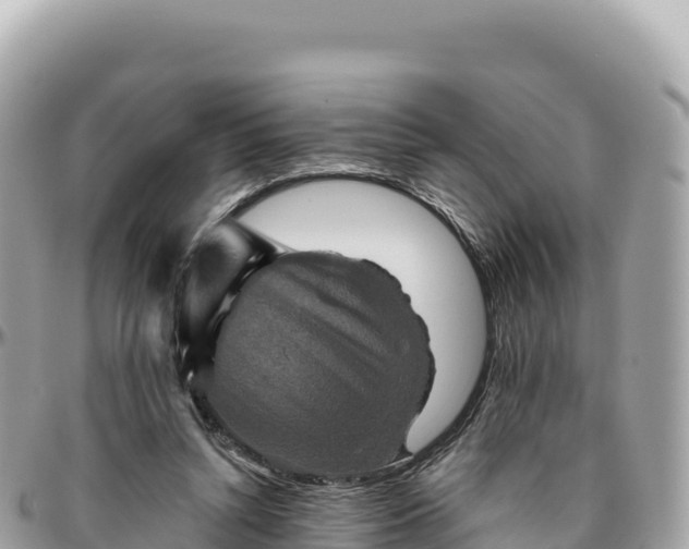 X0000095880352200801251145