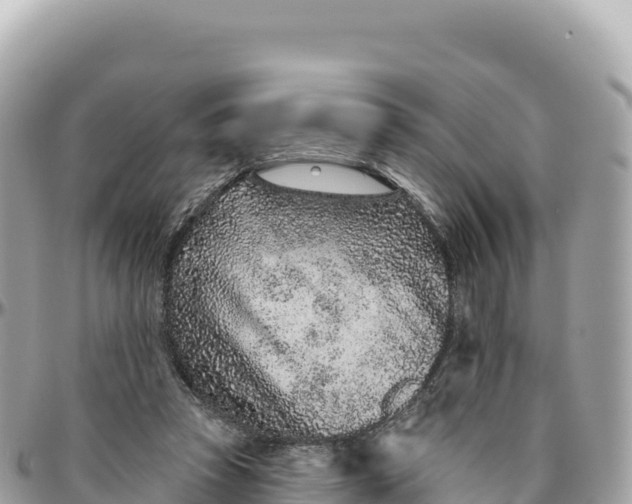 X0000095880353200801251145