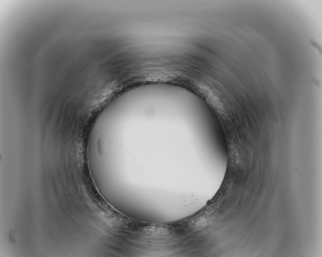 X0000095880354200801251145