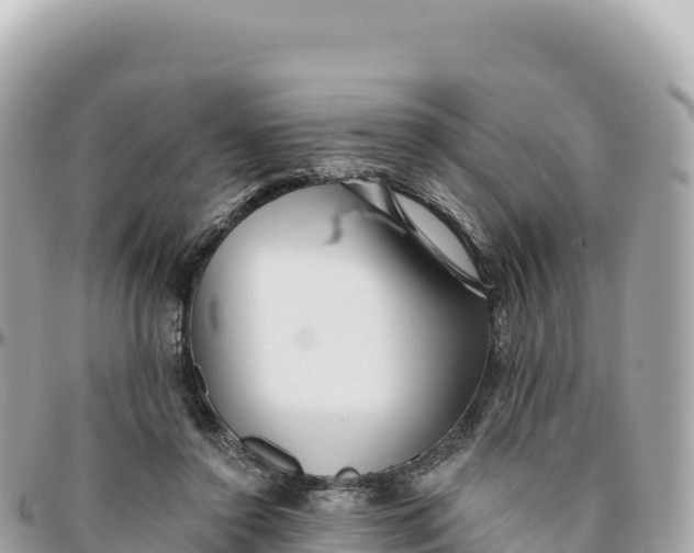 X0000095880356200801251145