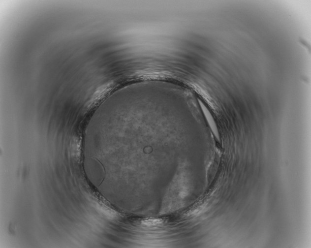 X0000095880357200801251145