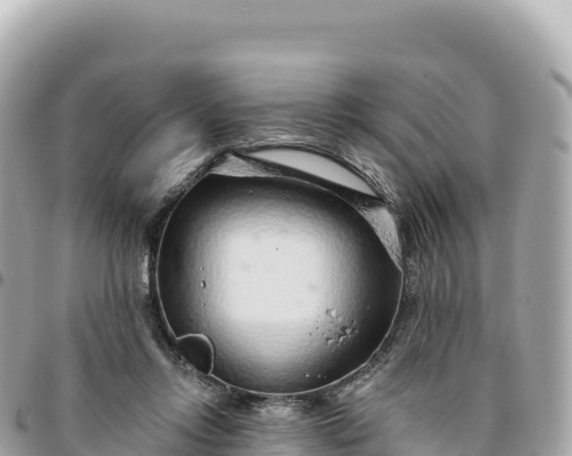 X0000095880358200801251145