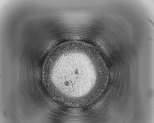 X0000095880359200801251145