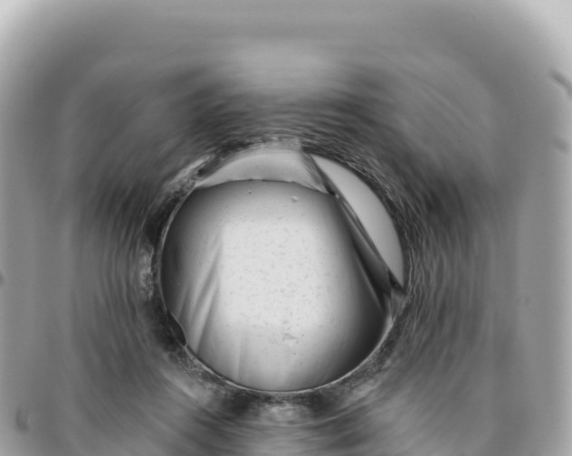 X0000095880360200801251145