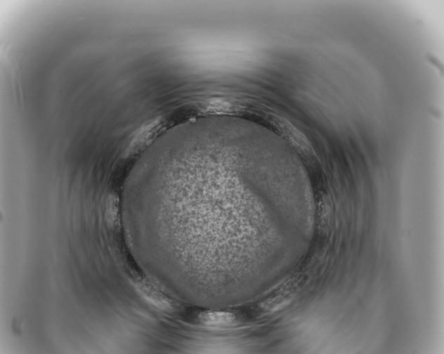 X0000095880361200801251145