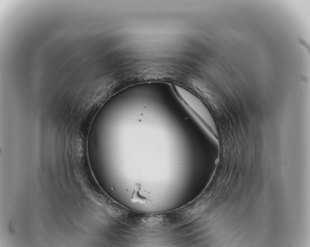 X0000095880362200801251145