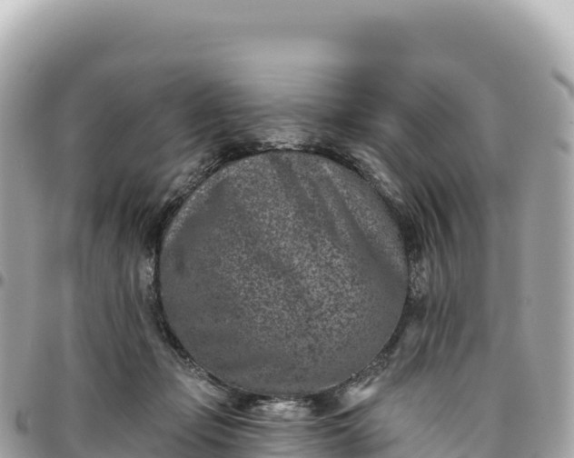 X0000095880365200801251145