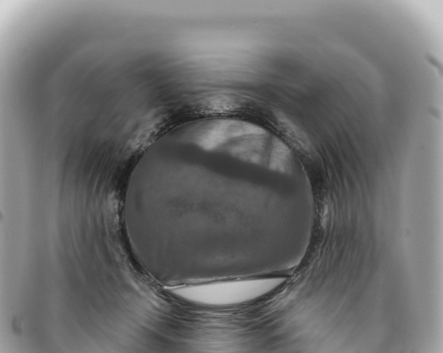 X0000095880366200801251145