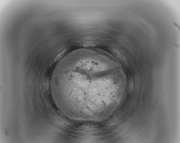 X0000095880367200801251145