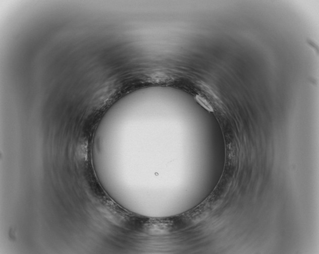 X0000095880368200801251145