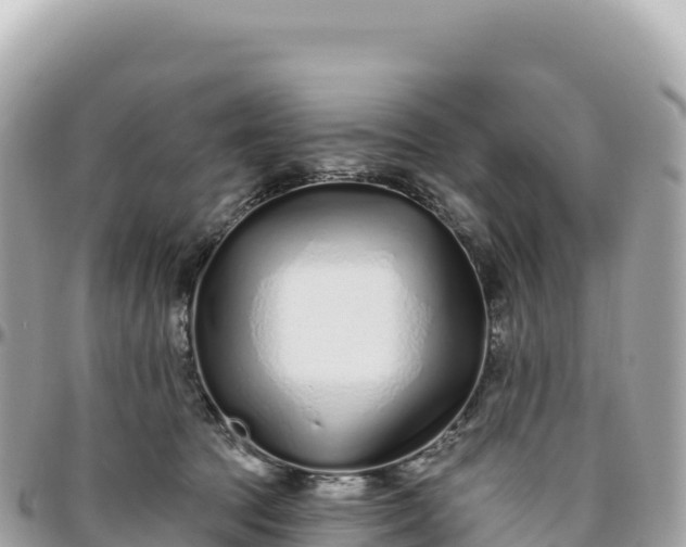 X0000095880369200801251145