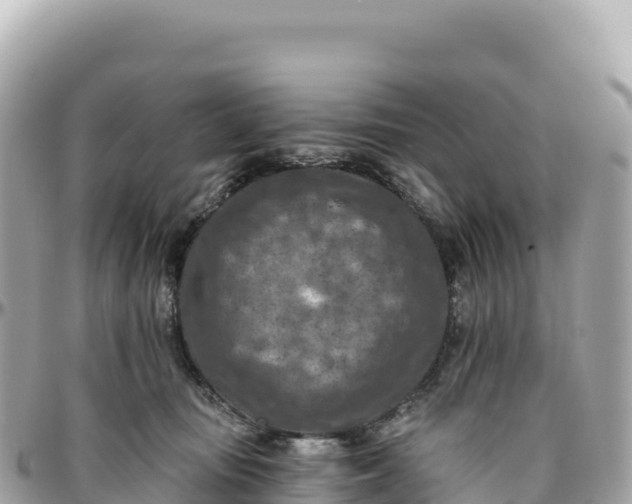 X0000095880371200801251145