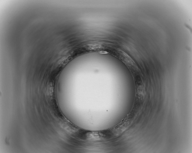 X0000095880372200801251145