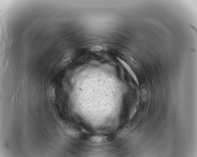 X0000095880375200801251145