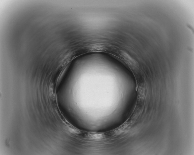 X0000095880377200801251145