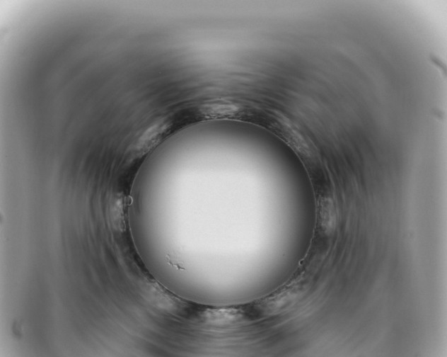 X0000095880378200801251145