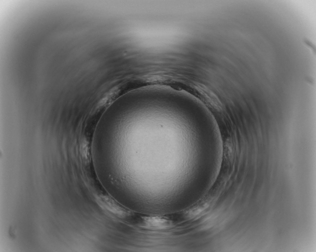 X0000095880380200801251145