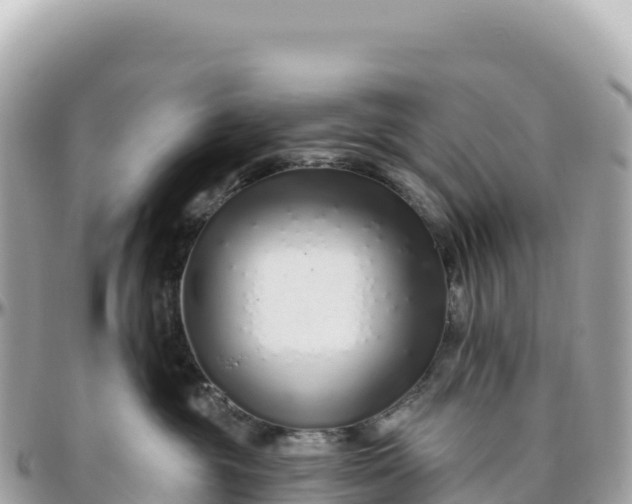 X0000095880381200801251145