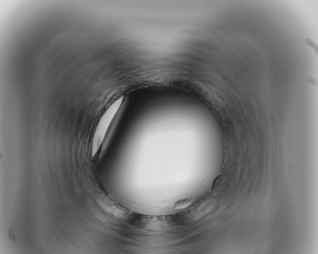 X0000095880384200801251146