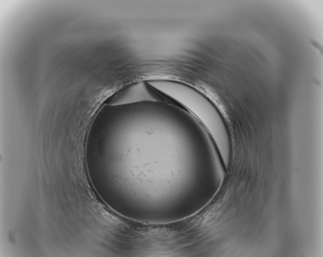 X0000095880385200801251145