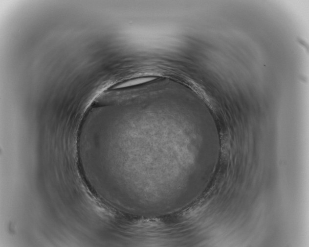 X0000095880386200801251145