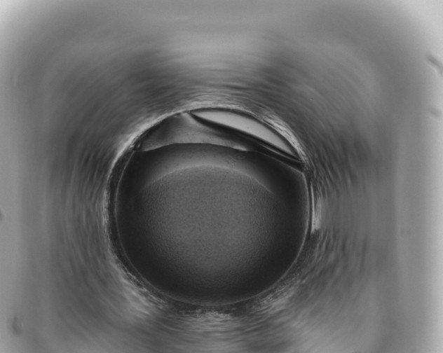 X0000095880387200801251145