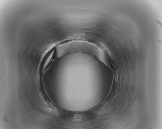 X0000095880388200801251145