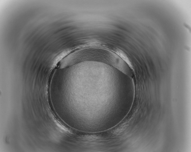 X0000095880389200801251145