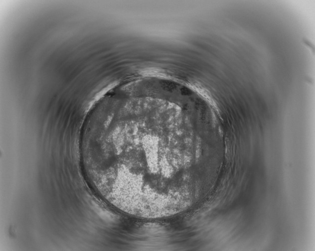 X0000095880390200801251145