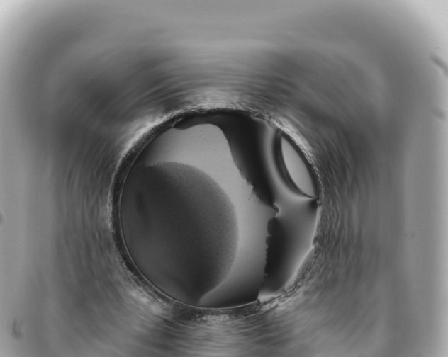 X0000095880391200801251145