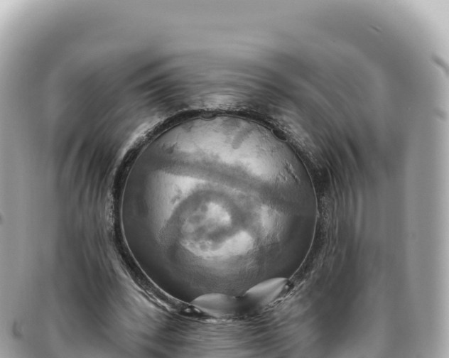 X0000095880392200801251145