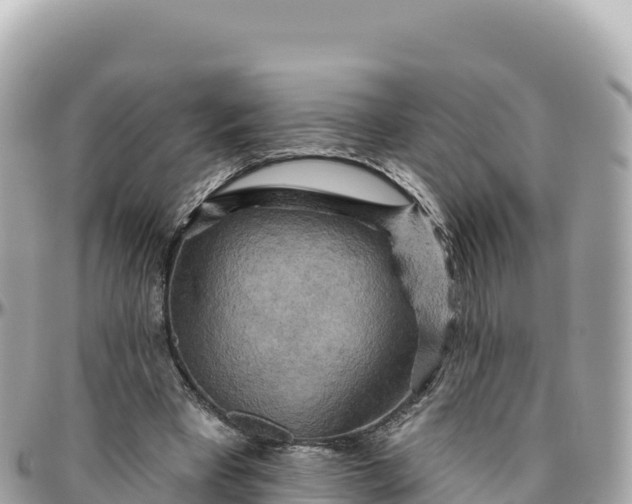 X0000095880393200801251145