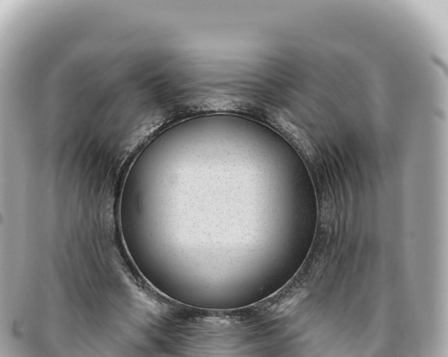 X0000095880394200801251145